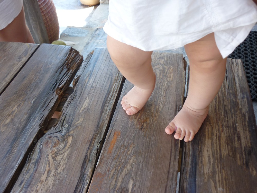 let me tell you about our guests