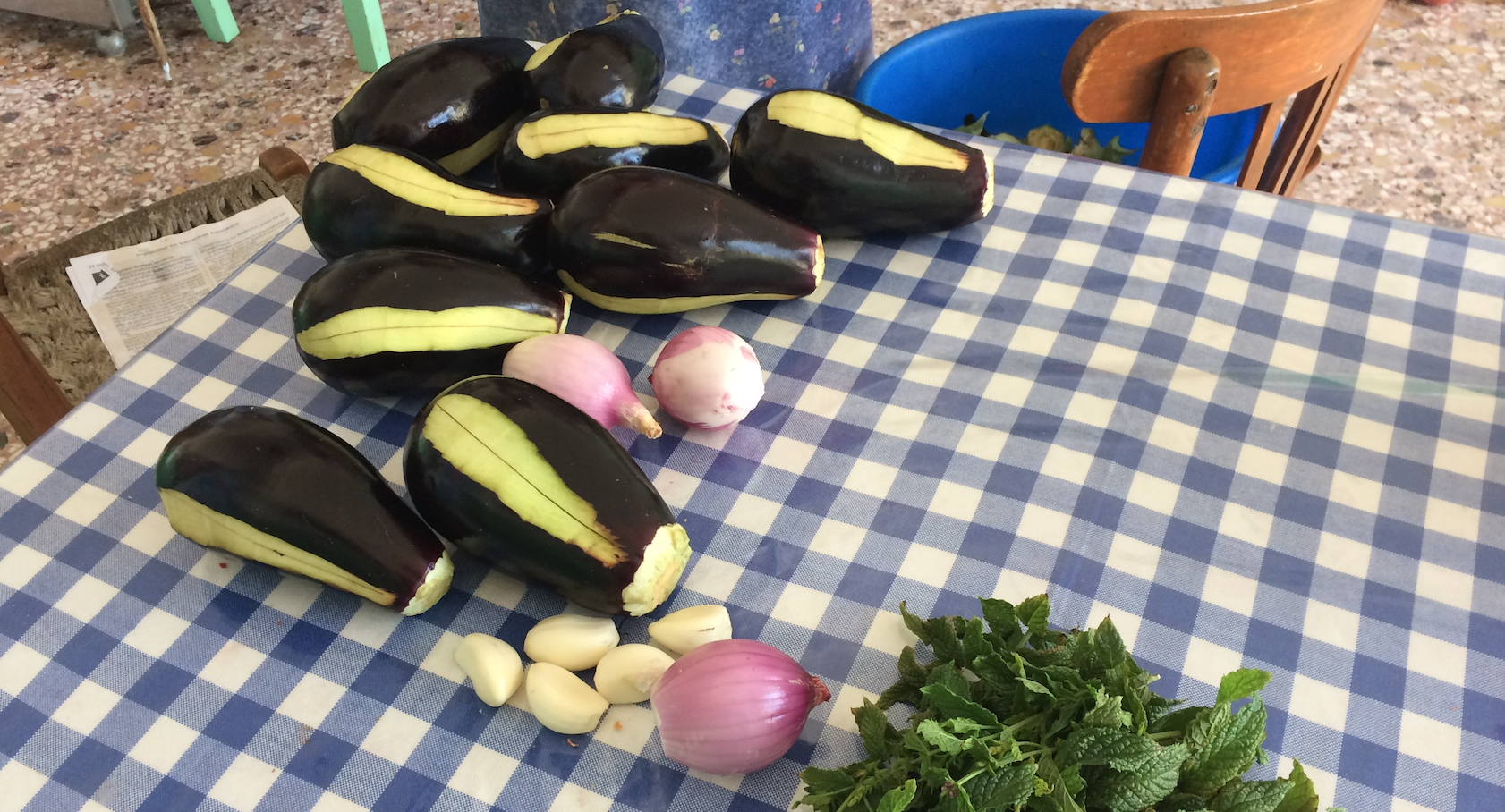 serifos-aubergine-family-produce-meet-the-locals