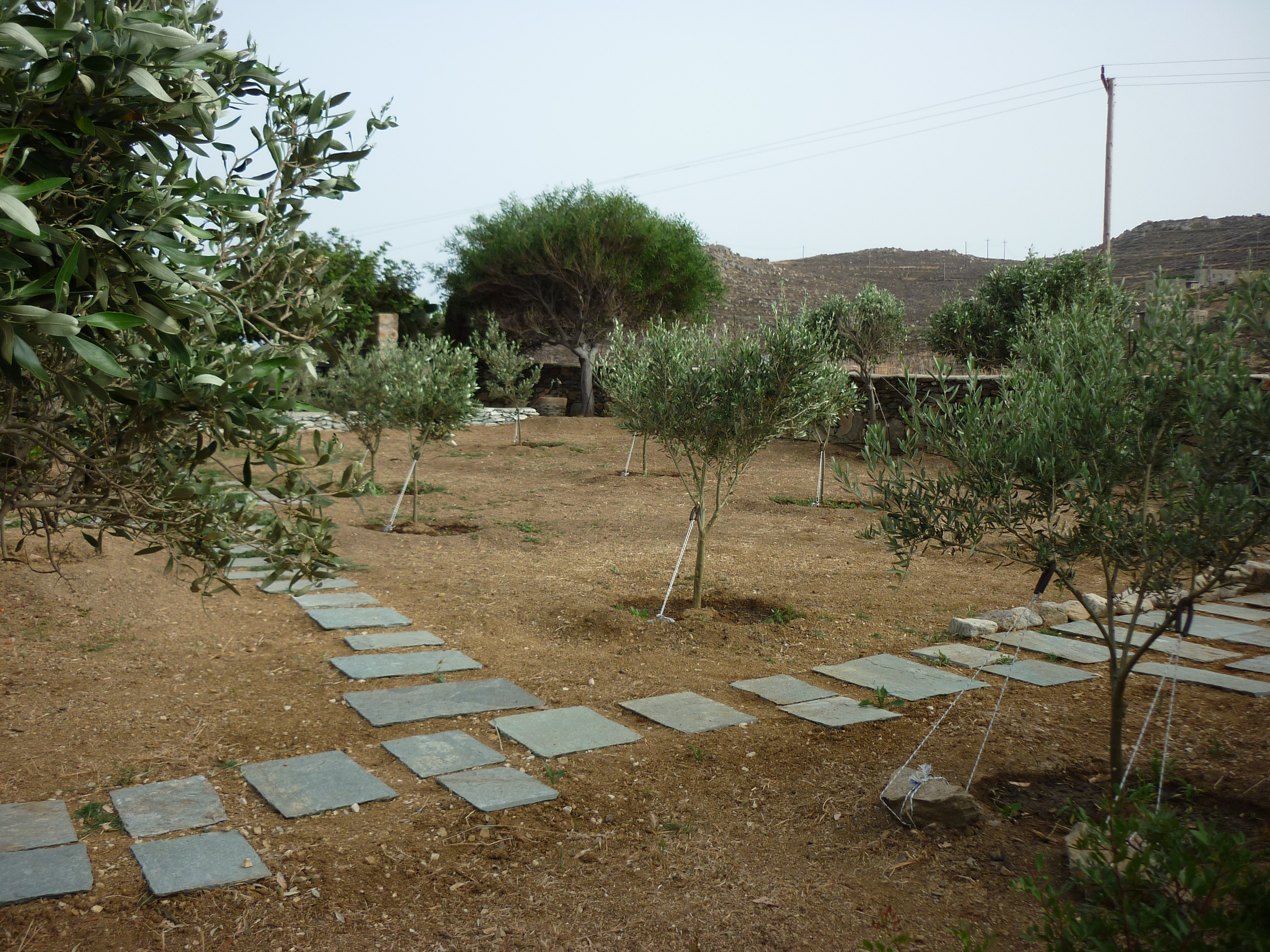 serifos-eco-residency