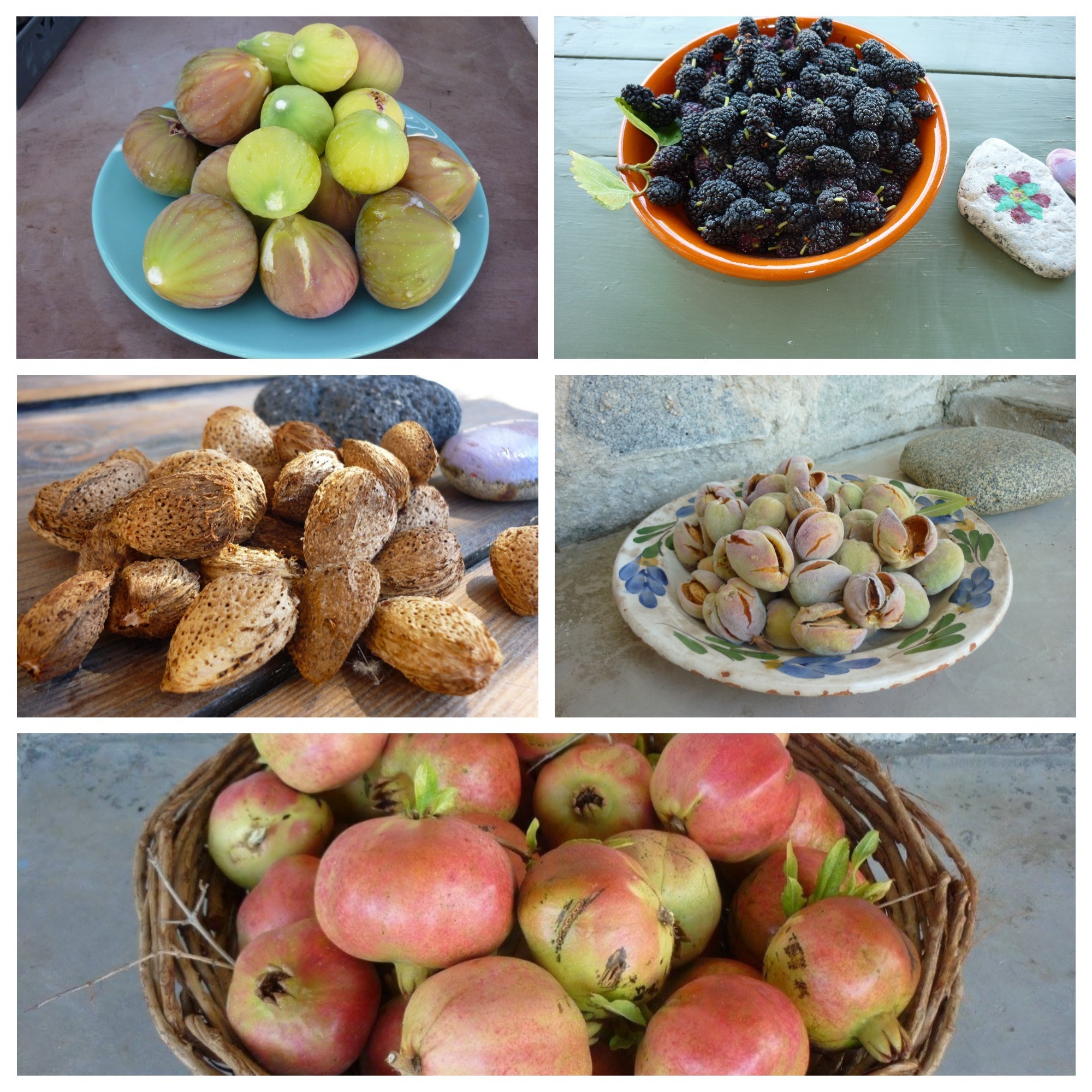 Serifos-green-friendly-family-produce-home-vacations