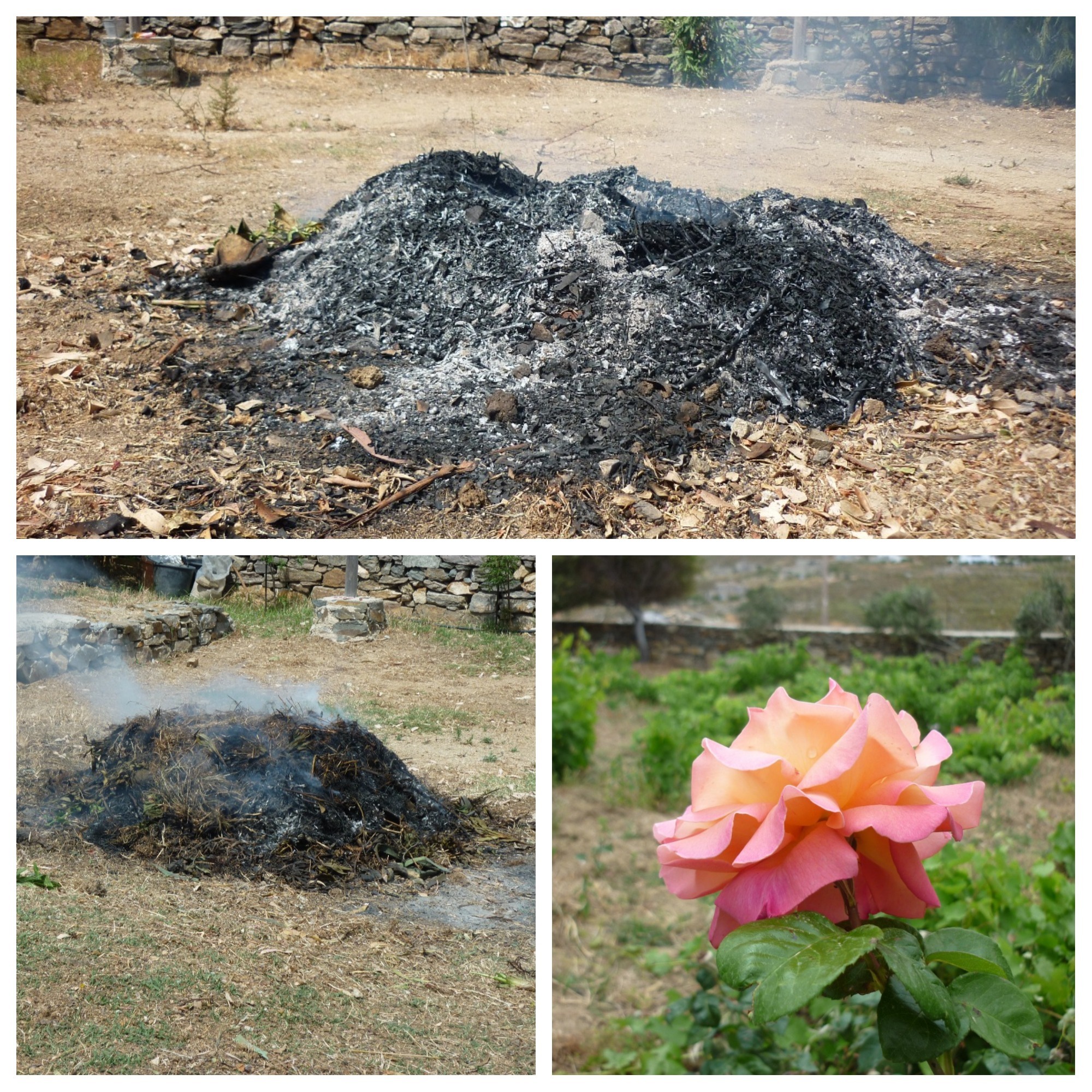 Serifos-green-residency-rental-soil-fertalizer