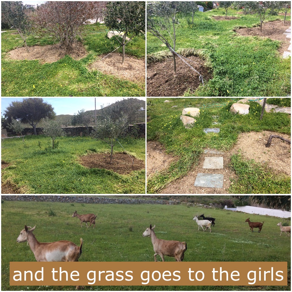 serifos-the-writers-home-rental-nature-house-march-20