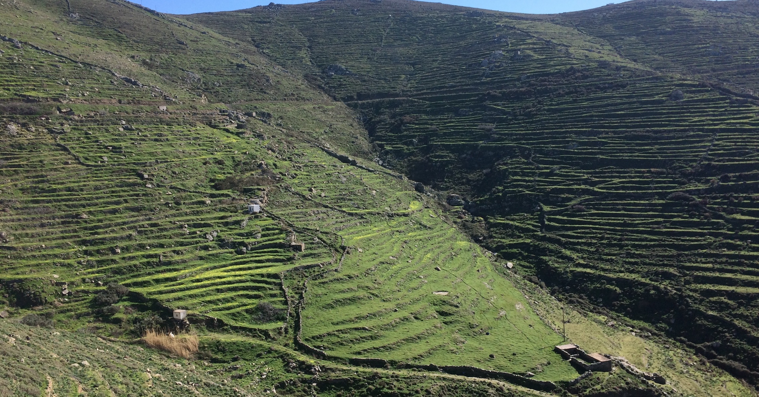 my darling Serifos, March