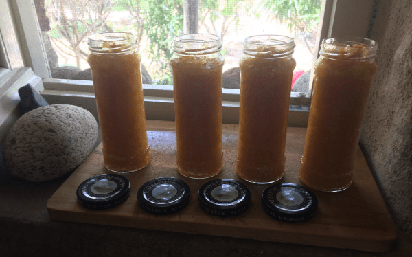 serifos-the-writers-home-recycled-glass-orange-eco-residency