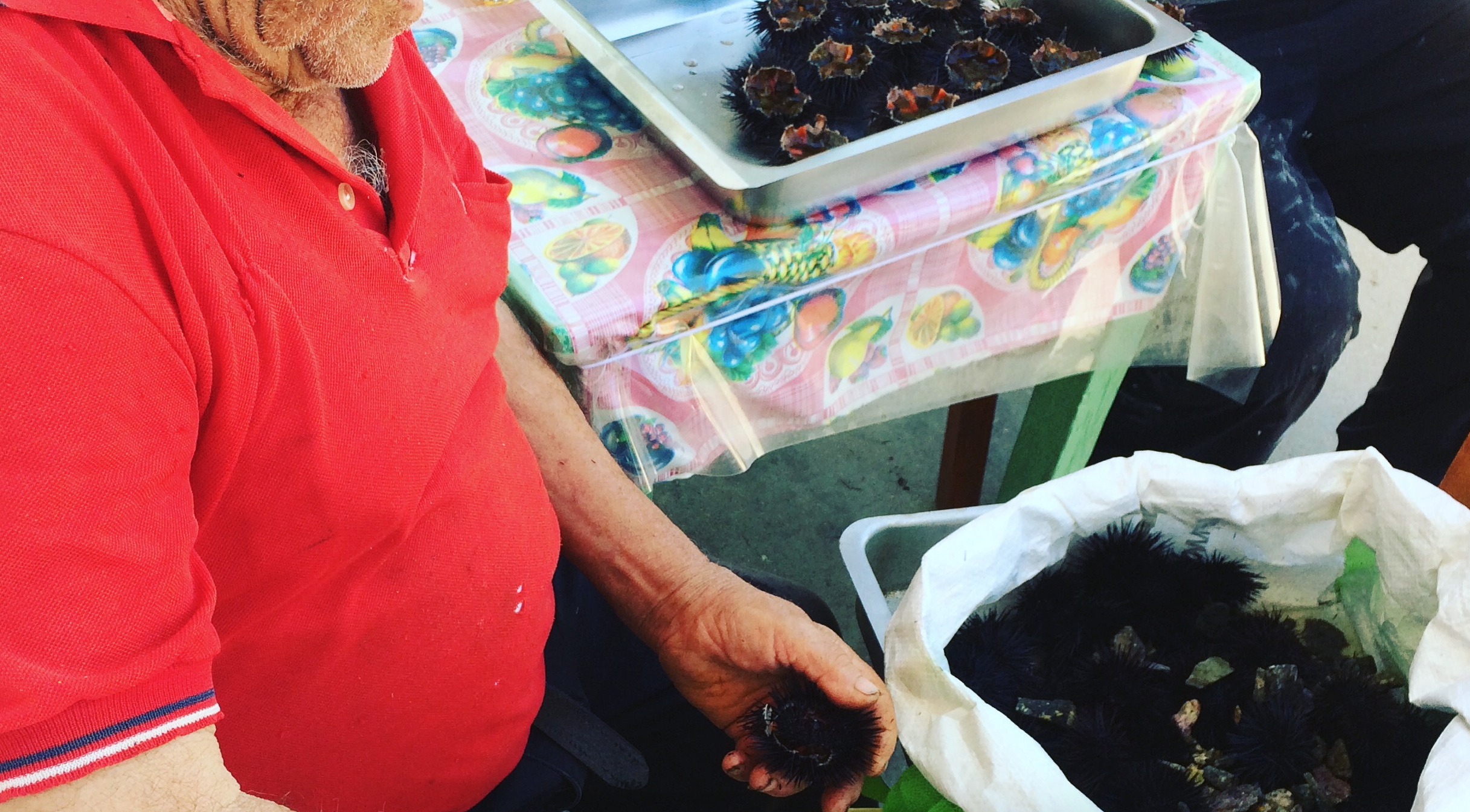 Serifos, the ritual of echinus opening