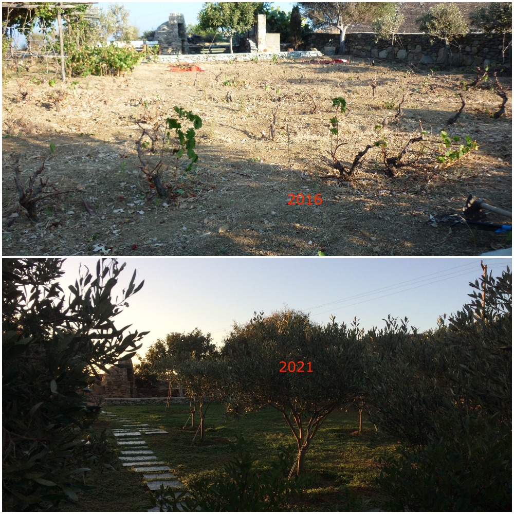 Serifos | Our land  | The Constant Gardener