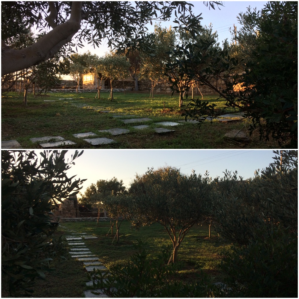 Serifos Nature House