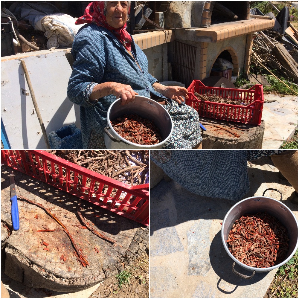 madder root the natural dye for easter eggs Serifos