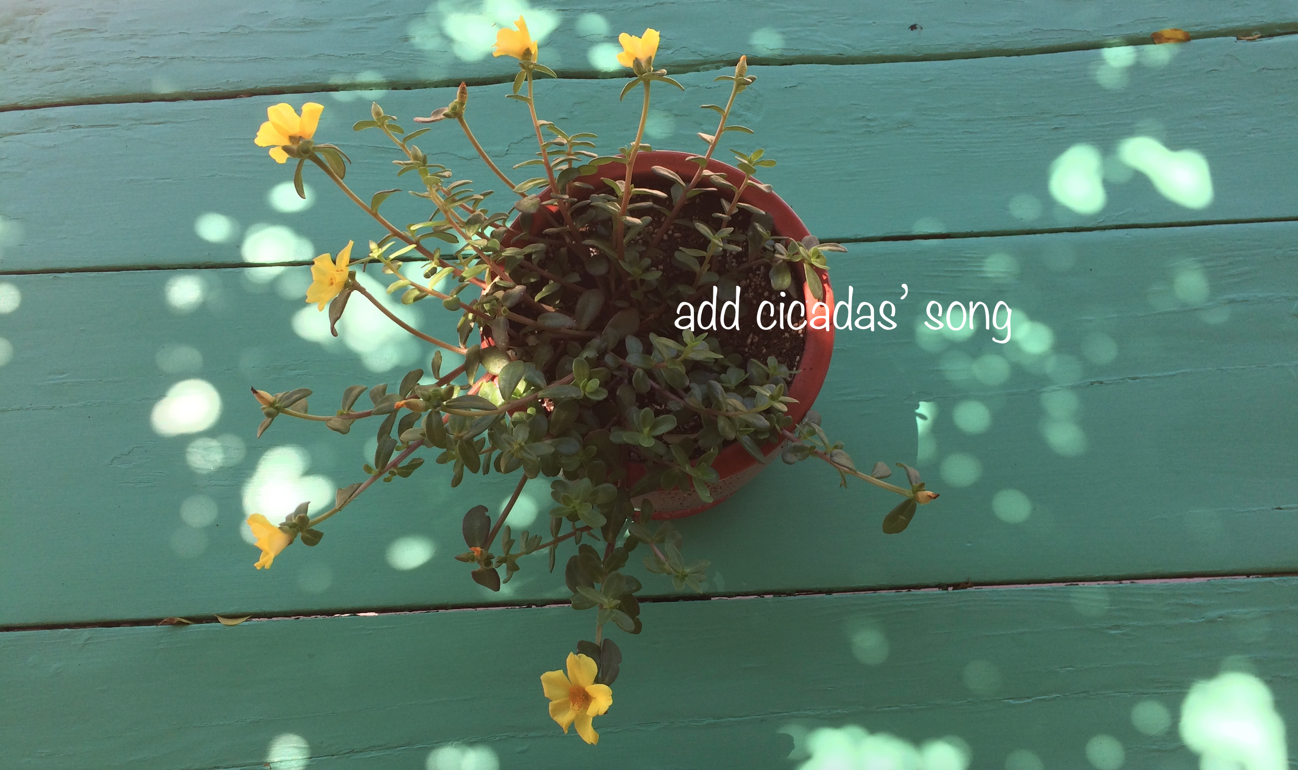 unwind, breathe, reconnect