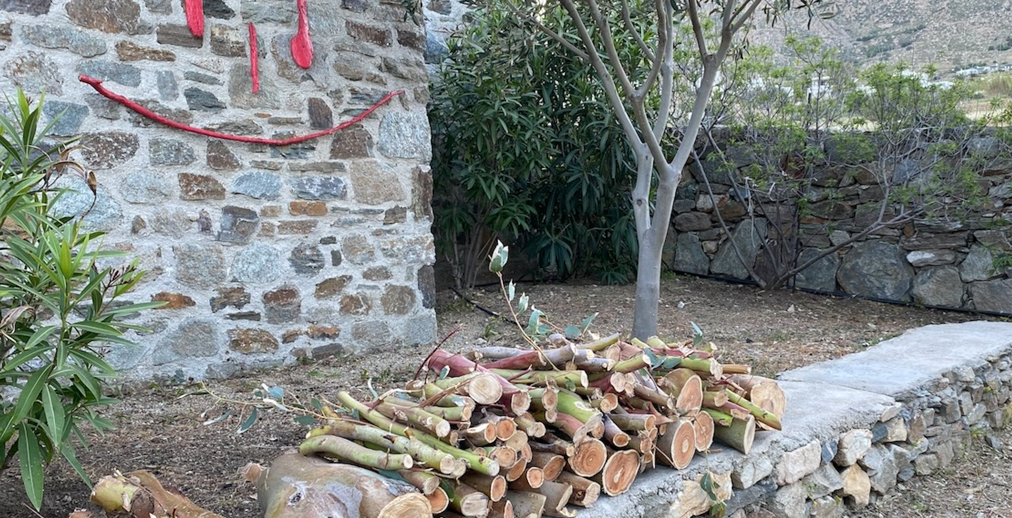 a nature house makes impact on the environment