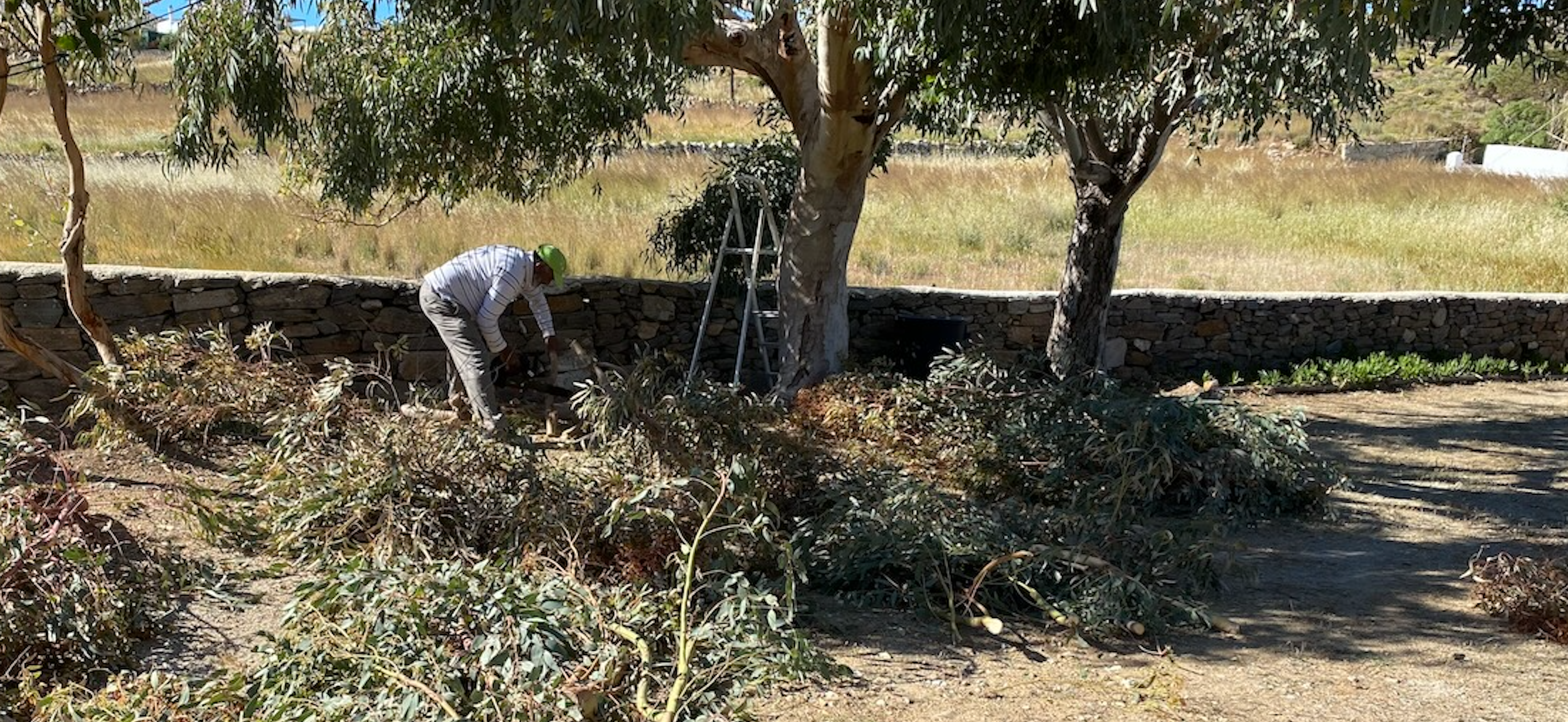 serifos busy behind the scenes with sustainability
