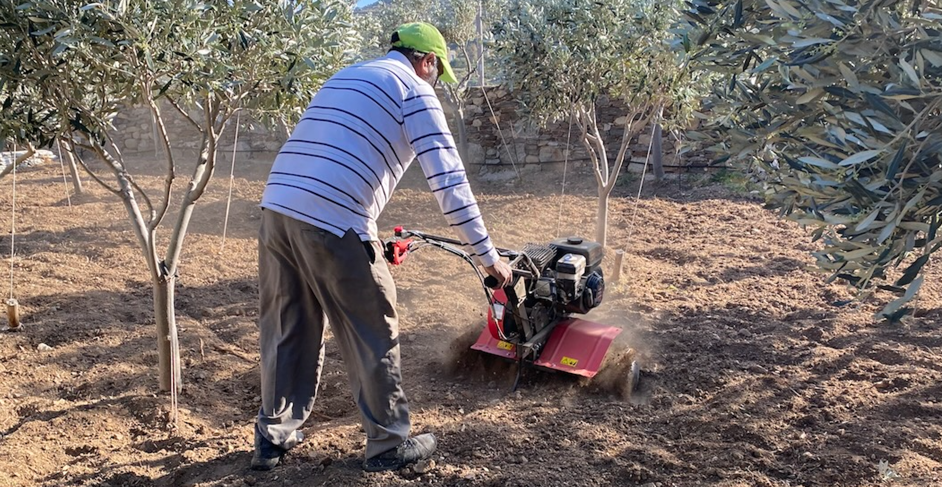 spring in full swing at the Writers Home Serifos